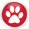 Animal footprint icon red glossy round button